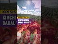 KRISIS IKLIM | Tiada Lagi Kubis Kimchi Ditanam Pada 2090