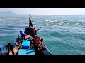 Download Lagu Jaring lingkar, Luar biasa Gak di sangka dapat ikan cakalang, begitu prosesnya