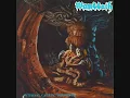 Wombbath - Prevent Anemia