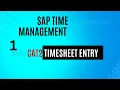Time Sheet Management How to Entry Time Sheet in SAP and Check Leave CAT2 and PT50