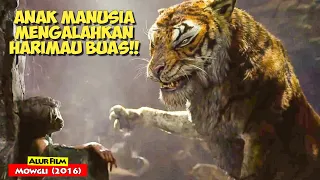 Download Kisah Anak Manusia Asuhan Srigala | Alur Cerita Film Mowgli: Legend Of Jungle (2018) MP3