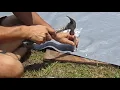 How to use Harbor Freight s 104 piece grommet installation kit It s easy