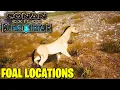 WHERE TO FIND FOALS IN CONAN EXILES ISLES OF SIPTAH
