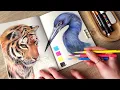 drawing wild animals with ONLY 4 colors no music no talking