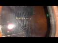 Sligh Grandfather Clock St Michael s 5 00 inside view