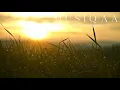 Dean and Dudley Evenson ⋄ Reiki Om ⋄ Meditation ⋄ Yoga
