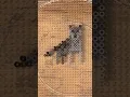 DIY Animal Fuse Bead Easy Craft Ideas Tutorial - A Wolf