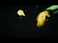 Zero 9:36 - Here to Bleed (Official Music Video)