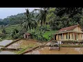 Lagu Indah dan damai‼️kampung di lembah sunyi di kaki gunung Sawal super  subur bikin betah