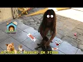 Download Lagu SABRINA APLICANDO INJEÇÃO EM PINGO!!
