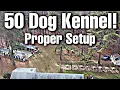 Proper kennel setup ideas