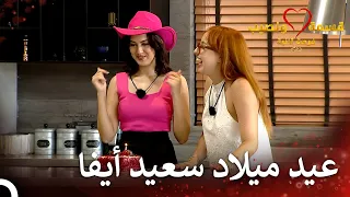 عيد ميلاد مفاجئ في قسمة ونصيب قسمة ونصيب فرصة ثانية الحلقة 73 Qesma W Naseeb 