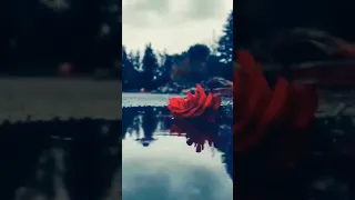 اغنية متخذلنيش إليسا من فيلم السلم والثعبان لعب عيال اليسا Love ٢٠٢٥Elissa Matekhzelneesh 