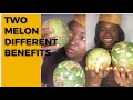 Download Lagu Christmas Melon - BitterMelon / Tangiri / Bara/ Health Benefits