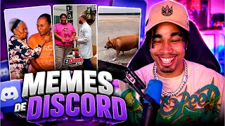 Memes de Discord que me Harán Eliminar la Cuenta - RDJavi