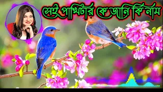 bast of alka yagnik sei pakhitar ke jane ki nam old songs