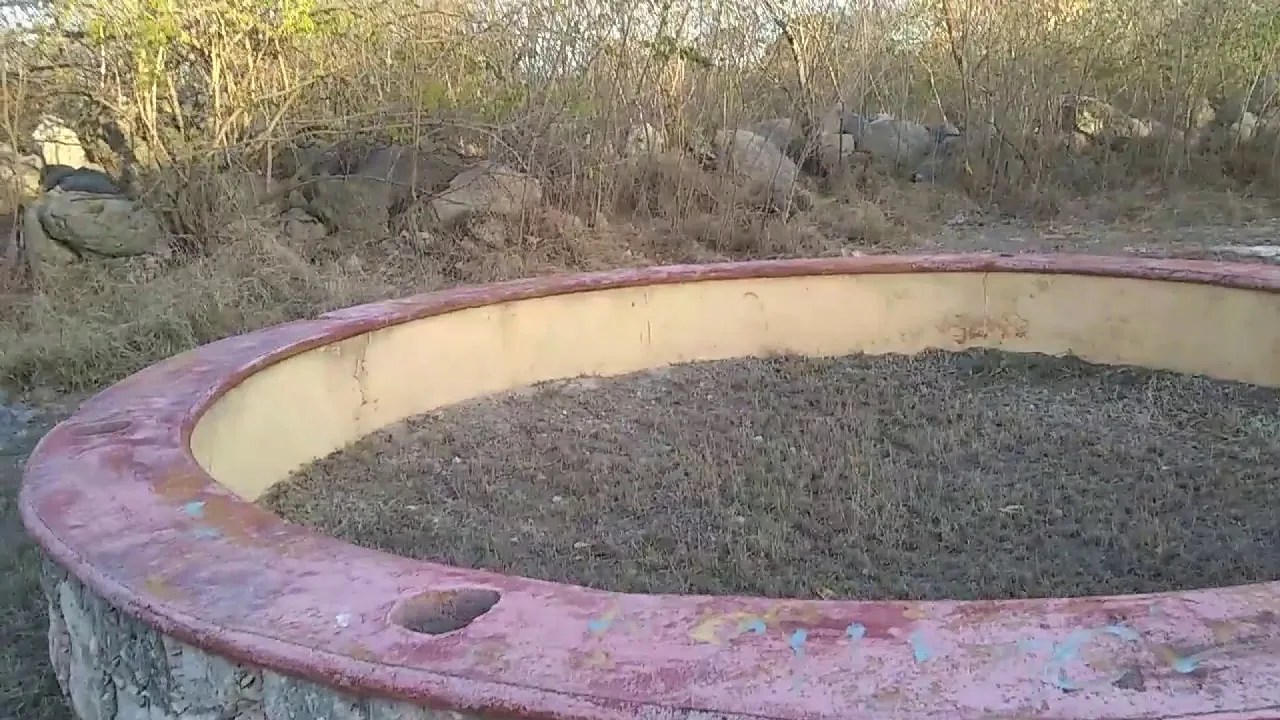 explorando el parque de los niños
