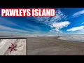 Pawleys Island Tour Things to do near Myrtle Beach