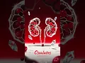 Download Lagu The Surprising Truth About Cranberry Nobody Tells You