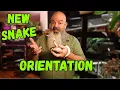 Just Got a New Snake So what do you do now