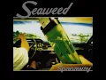 Start With - Seaweed
