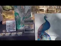 Spirit Ranch hosts local shopping experience