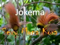 Jokema - Sexy Mona Kora [PNG MUSIC 2015]