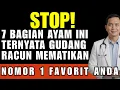 Lagu STOP! 7 Bagian Ayam Ini Ternyata GUDANG RACUN \u0026 HORMON Mematikan. Dokter Peringatkan Bahayanya!