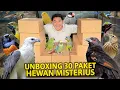 Download Lagu UNBOXING 30 PAKET HEWAN MISTERIUS SEKALIGUS! DAPET JACKPOT BURUNG GACOR?!