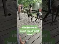 Download Lagu Ritual pengantaran jenazah Suku Asmat Papua #short #shorts #papua #death