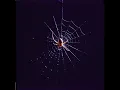 Download Lagu Dj EnⒶrchy - Tangled Web