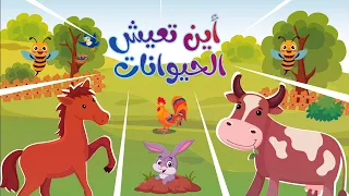 أين تعيش الحيوانات تعليم الأطفال أسماء بيوت الحيوانات 