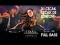 Download Lagu DJ CICAK CICAK DI DINDING DIAM DIAM MERAYAP FULL BASS VIRAL TIKTOK REMIX