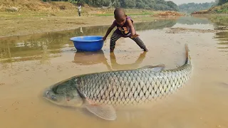 Amazing Traditional Boy Fish Catching By Hand in Water | Amazing Hand Fishing Video #Fish