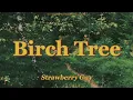Lagu Strawberry Guy - Birch Tree (lyrics)