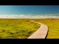 Nico Staf - Sunny Travel