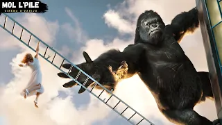 غوريلا عملاق يقع في حب فتاة بشرية فيقرر حمايتها من الحيوانات المفترسة والأخطار ملخص 𝐊𝐢𝐧𝐠 𝐊𝐨𝐧𝐠 