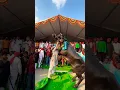 Download Lagu Laddu yadav sadar 2024 |  liffting Bull With Hands 😱 #sadar #bull #shorts #folksong #yadav