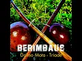 Introdução 3/4