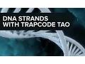 After Effects DNA Strands with Trapcode Tao Tutorial