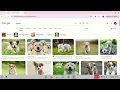 CS50 Web Programming Project 0 - Google Search Demo Walkthrough