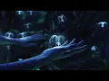 Download Lagu Night Time on Pandora: Ambience from Avatar