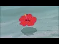 PRYVT & Bryant Barnes - Angel - ( Slowed + Reverbed )