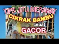 Download Lagu CARA MEAWAT BURUNG CIKRAK BAMBU AGAR CEPAT GACOR