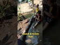 Download Lagu Mandi di Kolam Renang (x), Mandi di Kolam Ikan (✓)