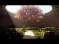 Nature Pathway - Blender Animation by Anthony Fox