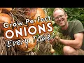 Grow Perfect Onions - Every Time