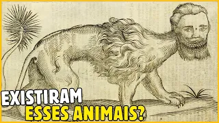 ANIMAIS ESTRANHOS QUE FORAM AVISTADOS NA IDADE MÉDIA E CATALOGADOS NOS BESTIÁRIOS MEDIEVAIS