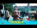 Download Lagu SIMPATIK MUSIC X MONY MUSIC - TERPAKSA - Ria Amelia - BINTANG Audio - Live Kradenan Grobogan 2025