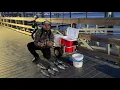 Sheepshead Bite was on Fire Fishing in Bradenton FL